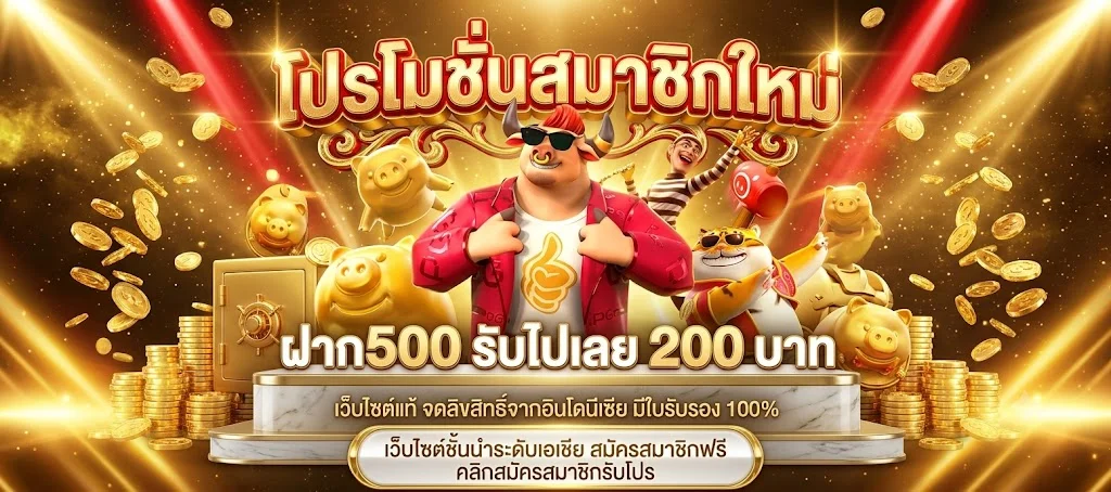 ฟีเจอร์เด่น